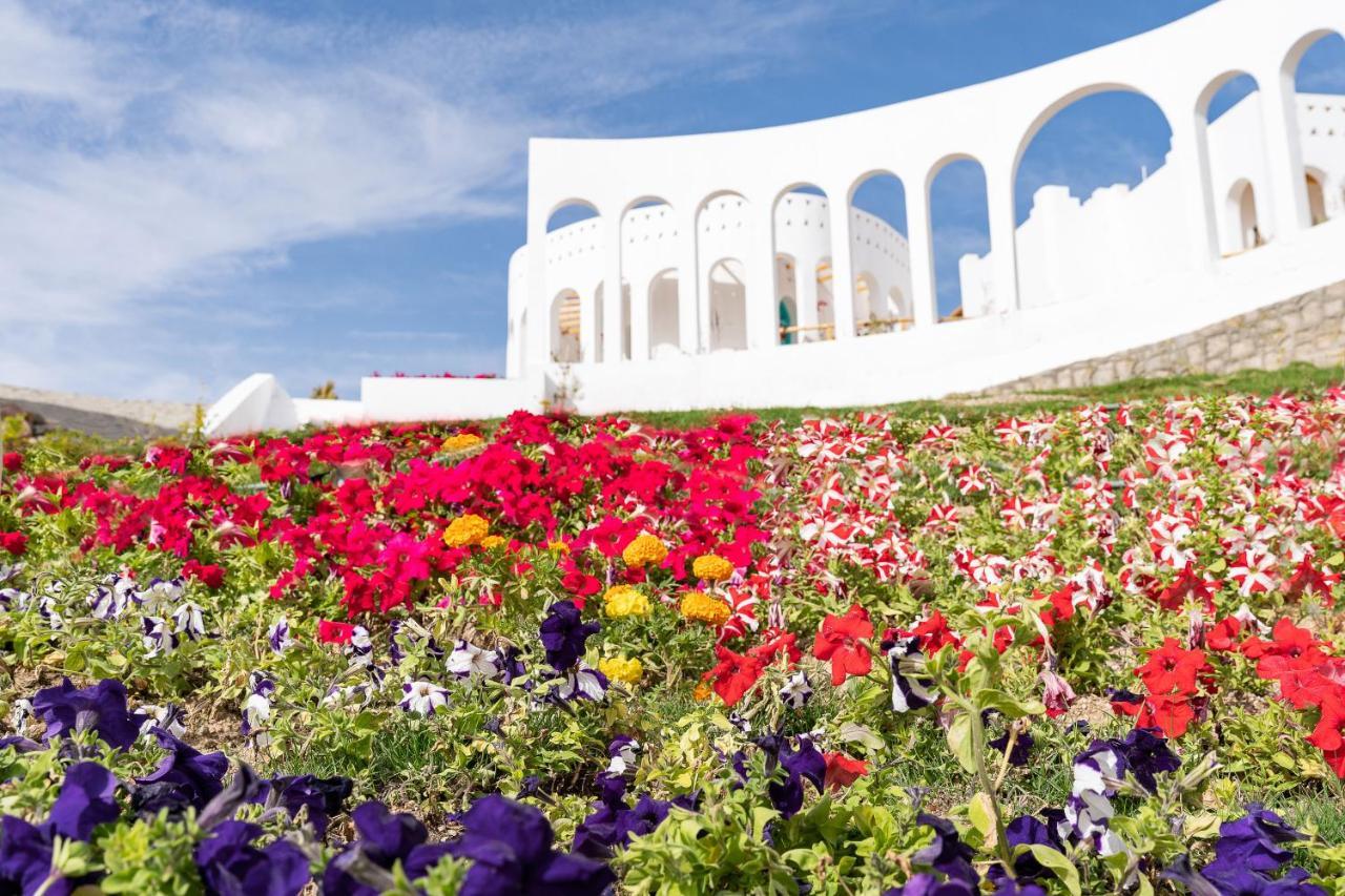 Benben By Dhara Hotels - Adults Only Асуан Екстериор снимка The Flower Festival in the city of Akita